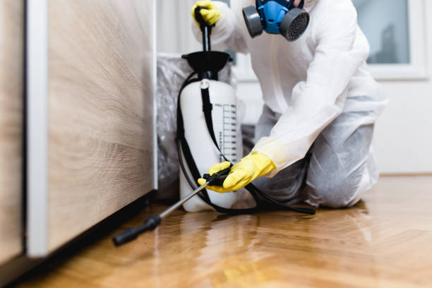 Trusted Lubeck, WV Pest Control Experts