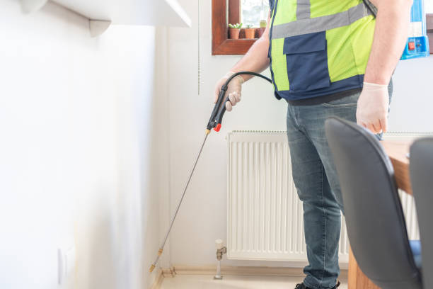 Best Ant Control Services  in Lubeck, WV