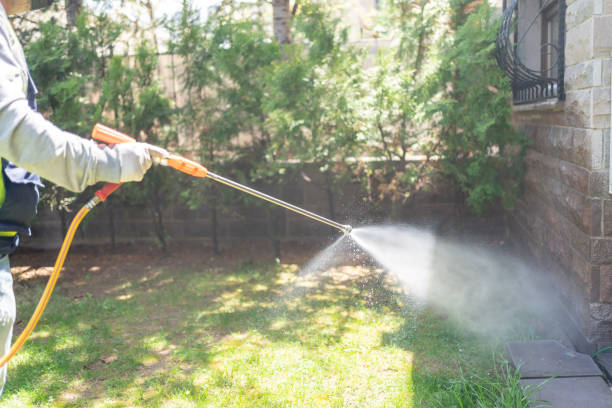Pest Control for Restaurants in Lubeck, WV